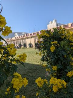 The Rose Bagh Resort Pushkar - 7