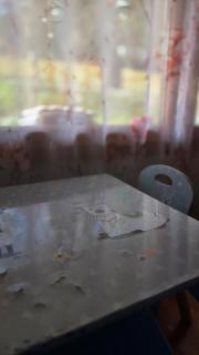 Natur- & Erlebnis Ferienhaus - 4