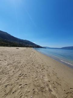 Amadea Apartment - 6