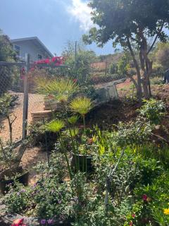 DALAT INN garden stay - 1