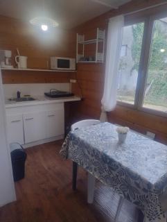 Le petit chalet - Chanas - 2