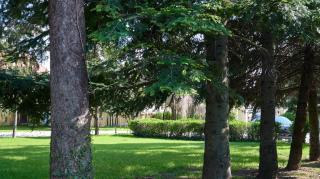 Bükfürdő Kúria Apartman Szoba, Bükfalva - 3