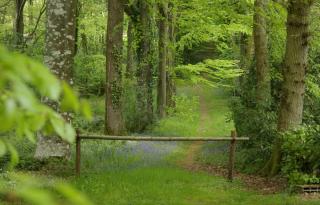 Les logis du Landron - Plessé - 5