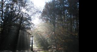 Les logis du Landron - Plessé - 7