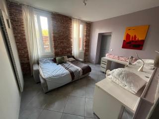 Magnifique maison toulousaine - 3