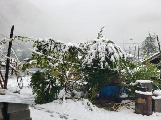 LENTEKHI' Moments - 3