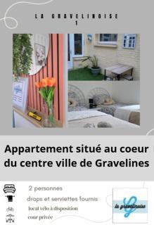 La gravelinoise 1 appartement cosy et lumineux en centre ville - 0