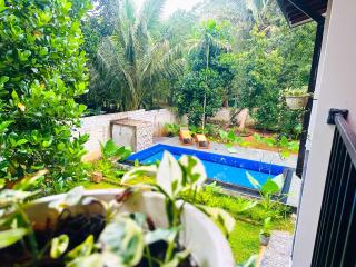 Sigiriya Dream Inn - 1