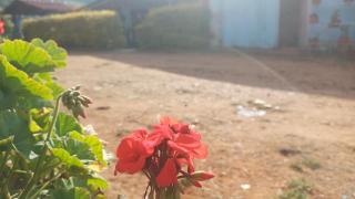 Cliff Club Resort Ooty - 1