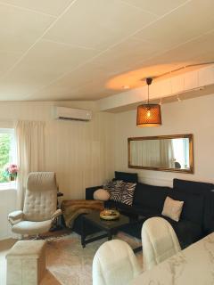 Sunny Terrace House only 50 min from Oslo - 7