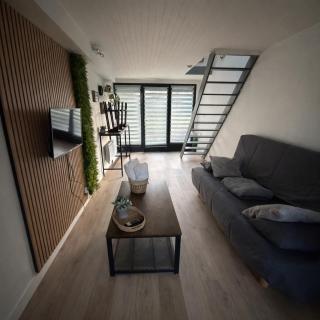 Petit Nid Douillet avec parking privé - 7