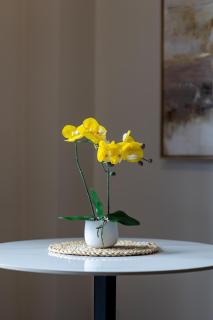 City Views- Top Floor - King Bed - 8