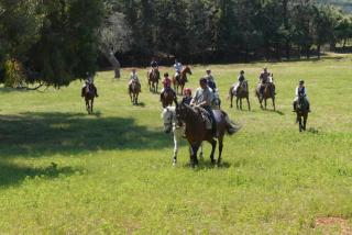 Agriturismo Tenuta Il Solengo - 8