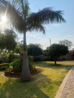 Porcupine's den, neat garden cottage in Tynwald Harare - 3