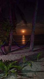 Tress Maria's beach resort - 7