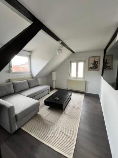 Soh Rent Schiltigheim Appartement 2 Pièces duplexe - TV - wifi - 7