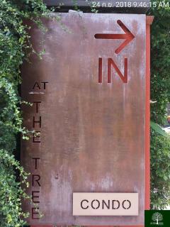 At the tree by fatimah Rawai R315 - 5