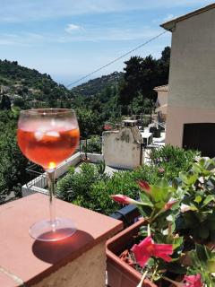 Grand 3 pièces avec terrasse et jardin dans villa provencale - 1
