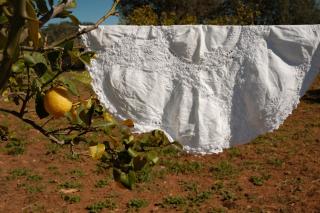 La Molina Mallorca - 8