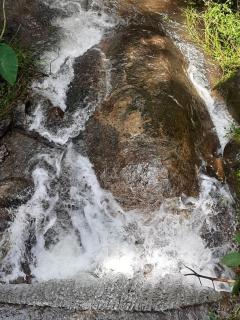 Kurinjiyil farmstay munnar - 7