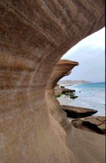 Seeing Turtles At Ras al jinz Hospitality - 4