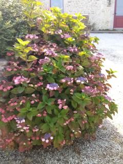 Chambres d'hôtes de La Hannière - 6