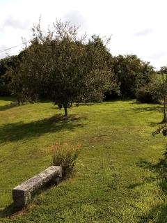 Chambres d'hôtes de La Hannière - 5