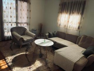 Stan na dan ili vise Lajovic - 9