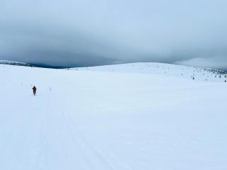 Saariselällä rauhaisa,uniikki, sielukas hirsimökki- luxury cottage - 3