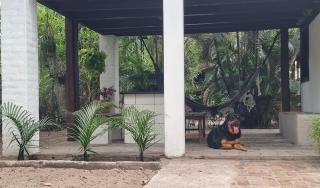 Casa do Thor - 0