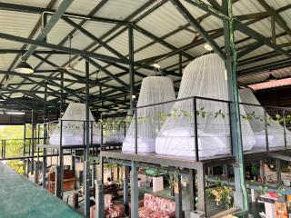 Leafty Lodge 绿叶小屋 - Mountain Top Fairy-Style Dormitory Beds at Eco Valley Retreat Balung 豐之谷 - 4