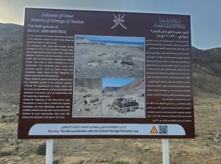 Seeing Turtles At Ras al jinz Hospitality - Junayz al Janūbī - 1