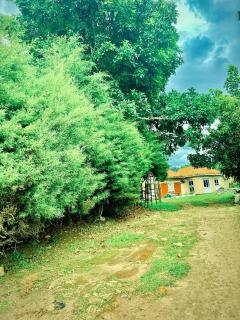 Dr Joyce's Lovely AirB&B - 8