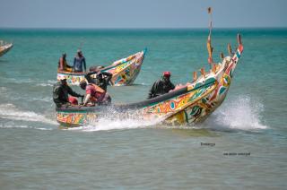 Résidence KEUR FLEURIE - 2
