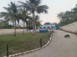 Hotel y boutique LA HACIENDA - 4