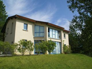 House with private pool and beautiful view - Ponet-et-Saint-Auban - 0