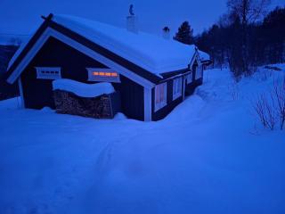 Authentic Norwegian ski chalet for 8 with fireplaces & modern comfort near Geilo ski slopes - 2