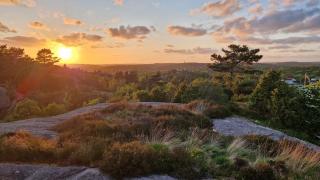 Lövskogsåsen 40 - 5