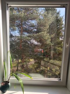 Friendly Apartment - 1