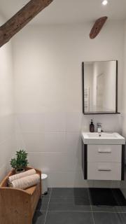 Ballumerhoeve Petit lodge - Ballum - 2