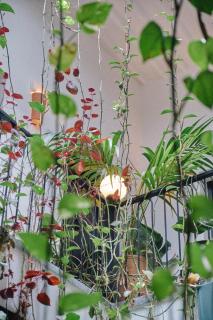 Nbta House - 9