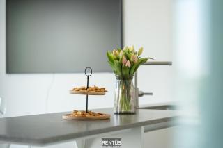 Zwem & Zen - spacious apartment with outdoor pool - 4