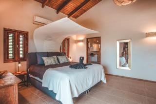 Villa Groot Geluk Luxury Family Oasis with Swimming Pool - Jan Thiel - 1