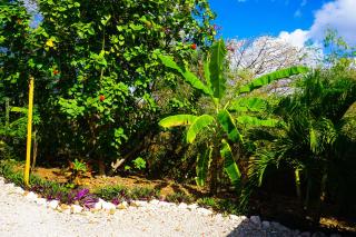 Abaai Resort B&B - 2