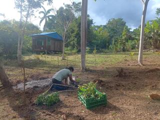 Panguana Lodge all inclusive - 4