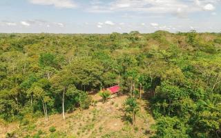 Panguana Lodge all inclusive - 0