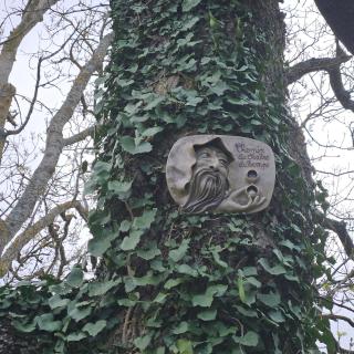 Maison de charme avec piscine dans le Gers - 4