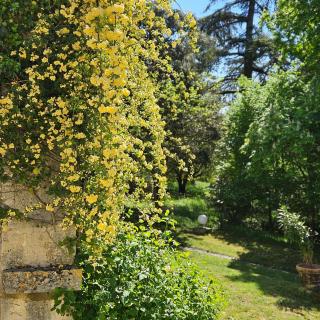 Maison de charme avec piscine dans le Gers - 1