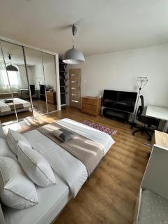Brynów Point Studio - Free parking & 55"smart TV - 8
