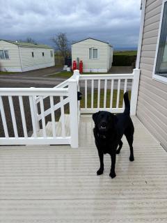 No 30 Dornoch Firth Caravan - 4